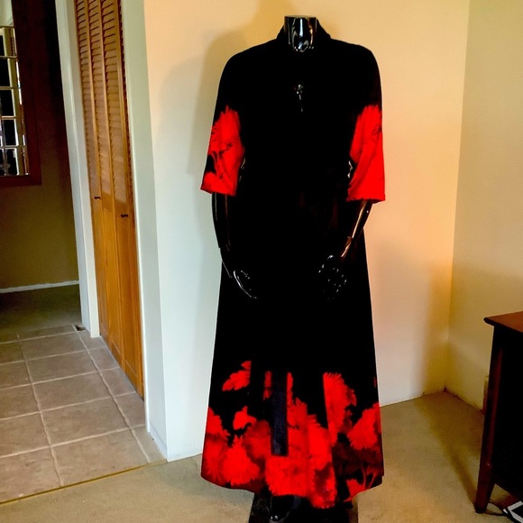 Eshatki Dresses & Skirts - ESHATKI Gorgeous Black/Red Dress